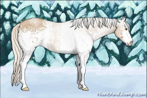 Horse Color:White Spotted Silver Black Pearl Sabino
