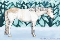 Horse Color:White Spotted Silver Black Pearl Sabino
