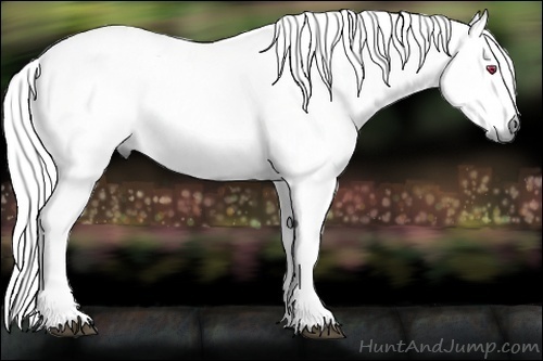 Horse Color:White Spotted Chestnut Chinchilla 