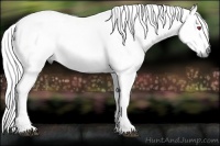 Horse Color:White Spotted Chestnut Chinchilla 