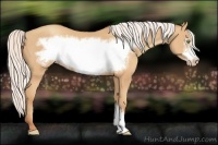 Horse Color:Silver Amber Champagne Frame 