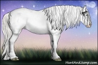 Horse Color:Silver Sable Cream Champagne Appaloosa 