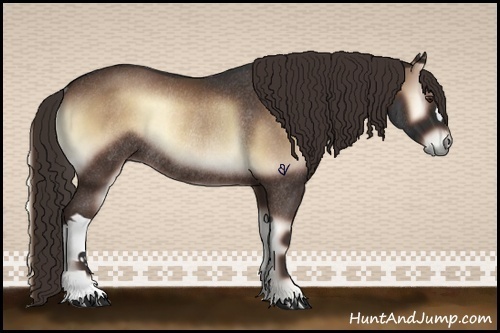 Horse Color:Liver Red Onyx Rabicano