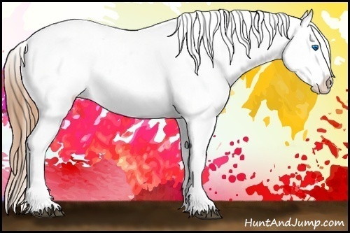 Horse Color:Grullo Splash Blanket