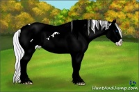 Horse Color:Watercolor White Spotted Silver Brown Ice Pearl Splash