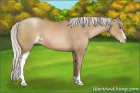 Horse Color:Silver Black Pearl Sabino