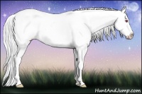 Horse Color:Chestnut Chinchilla Sabino Varnish Rabicano