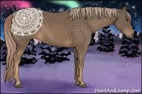 Horse Color:Chocolate Palomino 