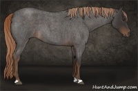 Horse Color:Liver Red Roan 