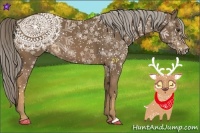 Horse Color:Chocolate Palomino 