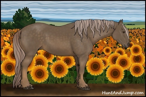 Horse Color:Chocolate Palomino Sabino