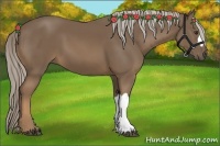 Horse Color:Chocolate Palomino 