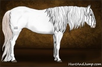 Horse Color:Chocolate Palomino Snowflake Varnish 