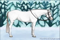 Horse Color:Chestnut Tobiano Frame Fewspot 