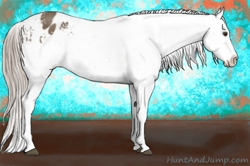 Horse Color:Chocolate Palomino Snowflake Varnish 