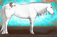 Horse Color:Chocolate Palomino Snowflake Varnish 
