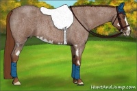 Horse Color:Red Roan Splash Frame