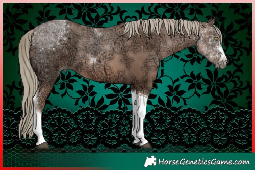 Horse Color:Liver Chestnut Ice Pearl Mushroom Tobiano 