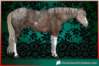 Horse Color:Liver Chestnut Ice Pearl Mushroom Tobiano 