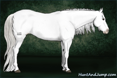 Horse Color:Chocolate Palomino Tobiano Snowflake Varnish 