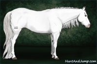 Horse Color:Chocolate Palomino Tobiano Snowflake Varnish 