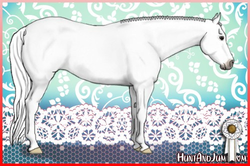 Horse Color:Gray Silver Bay Sabino