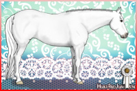 Horse Color:Gray Silver Bay Sabino
