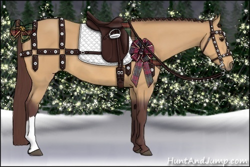 Horse Color:Chocolate Buckskin 
