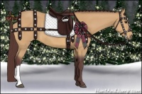 Horse Color:Chocolate Buckskin 