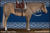 Horse Color:Chocolate Palomino Sabino 