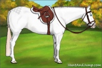Horse Color:White Spotted Buckskin Pearl Tobiano