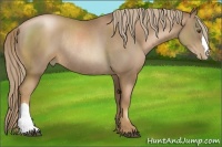 Horse Color:Liver Chestnut Pearl Rabicano 