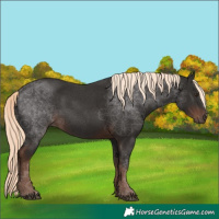 Horse Color:Liver Chestnut Mushroom Rabicano