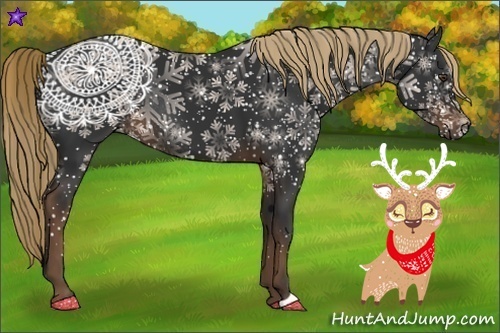 Horse Color:Liver Chestnut Rabicano
