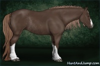 Horse Color:Liver Chestnut Rabicano 