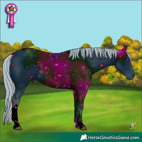 Horse Color:ERROR: UNKNOWN ANOMALY