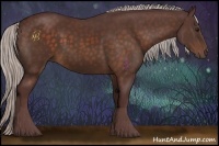 Horse Color:Chocolate Silver Bay Rabicano 