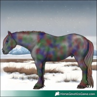 Horse Color:Nacre Liver Chestnut Rabicano