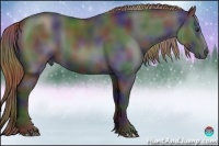 Horse Color:Nacre Liver Chestnut Rabicano 