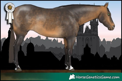 Horse Color:Buckskin Rabicano 