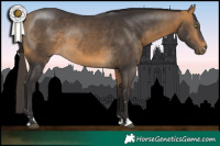 Horse Color:Buckskin Rabicano