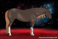 Horse Color:Liver Chestnut Rabicano 