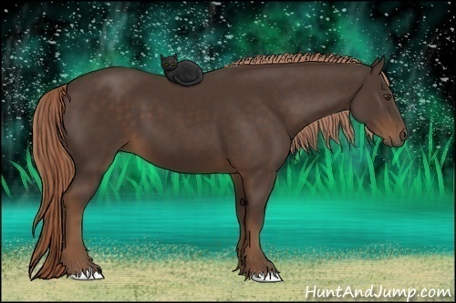 Horse Color:Liver Chestnut Rabicano