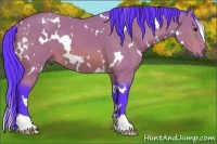 Horse Color:Watercolor White Spotted Bay 