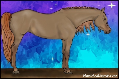 Horse Color:Liver Red Dun 