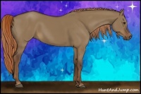 Horse Color:Liver Red Dun 