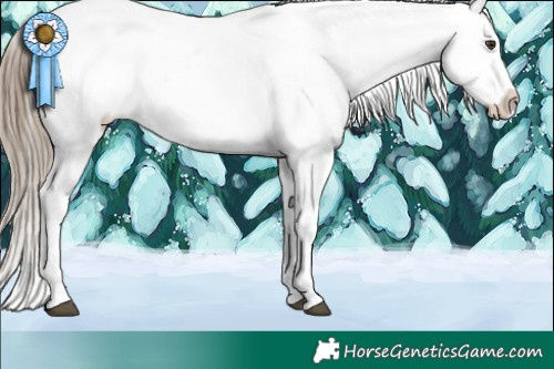 Horse Color:Liver Chestnut Ice Appaloosa Rabicano 