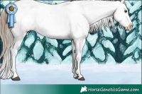 Horse Color:Liver Chestnut Ice Appaloosa Rabicano