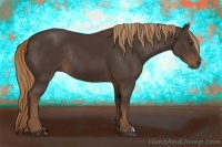 Horse Color:Liver Chestnut Rabicano 