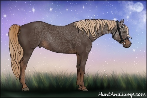 Horse Color:Liver Chestnut Rabicano 